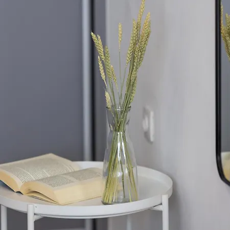 Terrace Sky View Apartment *