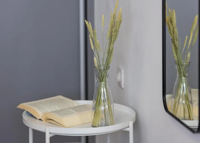 Terrace Sky View アパート *